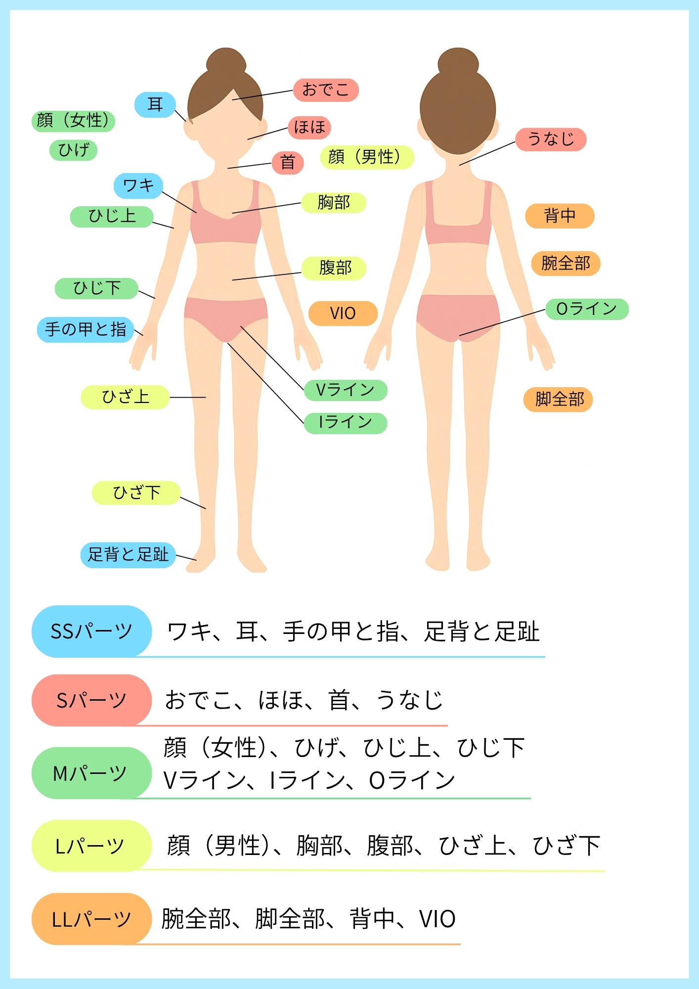 脱毛パーツ表